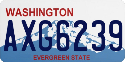 WA license plate AXG6239