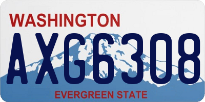 WA license plate AXG6308