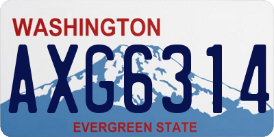 WA license plate AXG6314