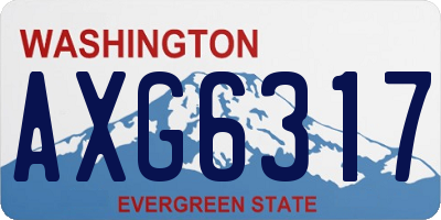 WA license plate AXG6317