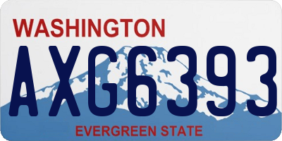 WA license plate AXG6393