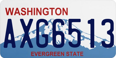 WA license plate AXG6513