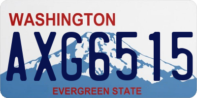WA license plate AXG6515