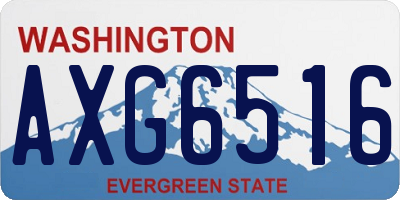 WA license plate AXG6516