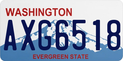 WA license plate AXG6518