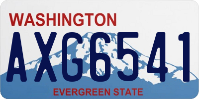 WA license plate AXG6541