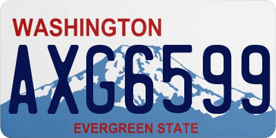 WA license plate AXG6599