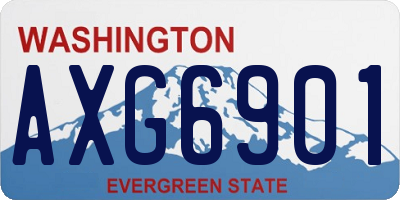 WA license plate AXG6901
