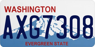 WA license plate AXG7308