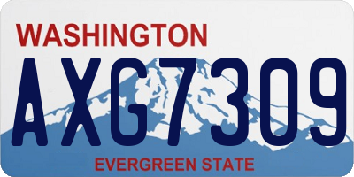 WA license plate AXG7309