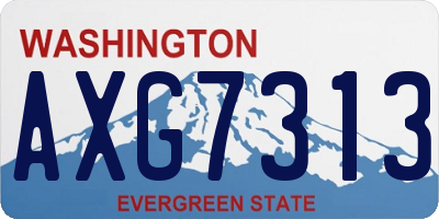 WA license plate AXG7313