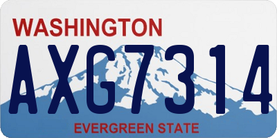 WA license plate AXG7314