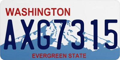 WA license plate AXG7315