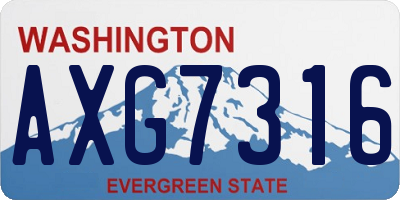 WA license plate AXG7316