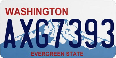 WA license plate AXG7393