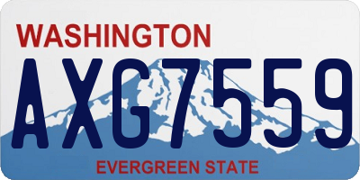 WA license plate AXG7559