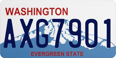 WA license plate AXG7901