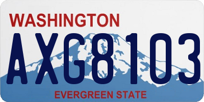 WA license plate AXG8103
