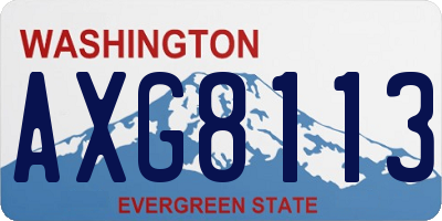 WA license plate AXG8113