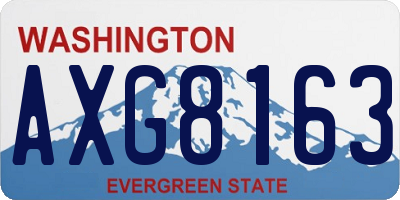 WA license plate AXG8163