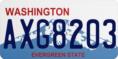 WA license plate AXG8203