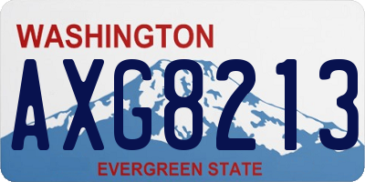 WA license plate AXG8213