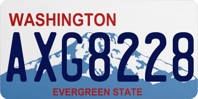 WA license plate AXG8228