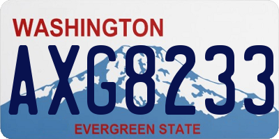 WA license plate AXG8233