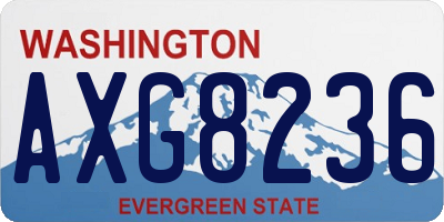 WA license plate AXG8236