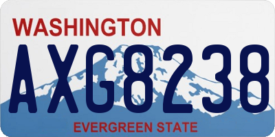 WA license plate AXG8238