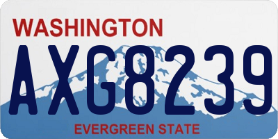 WA license plate AXG8239