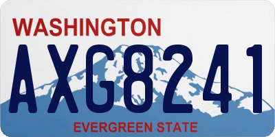 WA license plate AXG8241