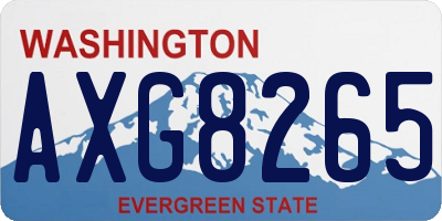 WA license plate AXG8265