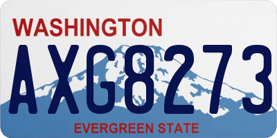 WA license plate AXG8273