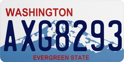 WA license plate AXG8293