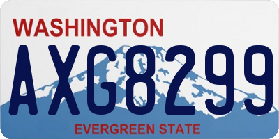 WA license plate AXG8299