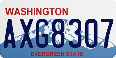 WA license plate AXG8307