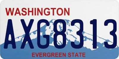 WA license plate AXG8313