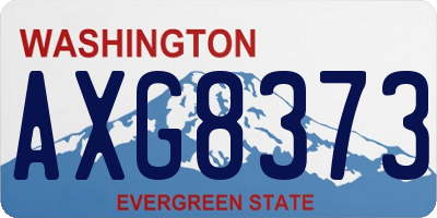 WA license plate AXG8373