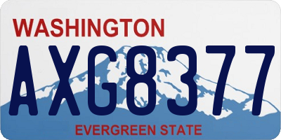 WA license plate AXG8377