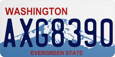 WA license plate AXG8390