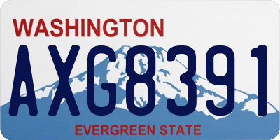 WA license plate AXG8391