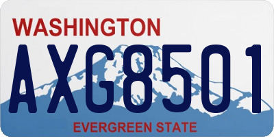 WA license plate AXG8501