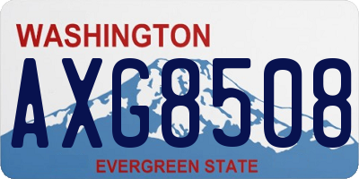 WA license plate AXG8508