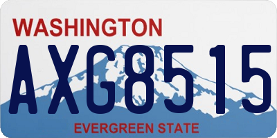 WA license plate AXG8515