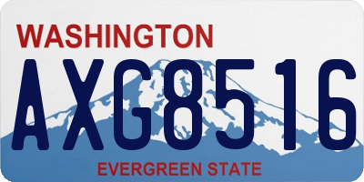 WA license plate AXG8516