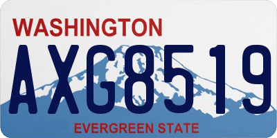 WA license plate AXG8519