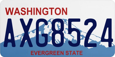 WA license plate AXG8524