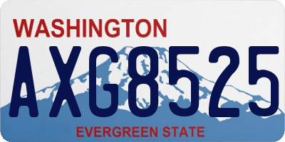 WA license plate AXG8525