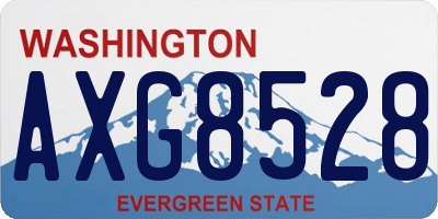 WA license plate AXG8528